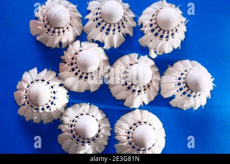 White Shuttlecocks at Blue Background . Badminton Birdies Balls Stock Photo
