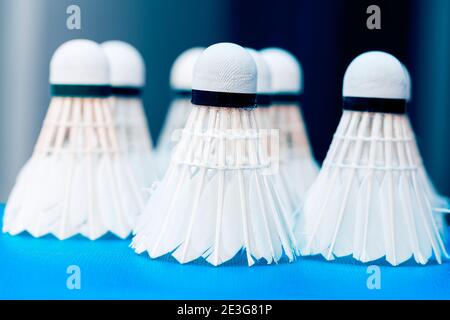 White Feather Badminton Shuttlecocks , good for High Speed Training Stock Photo