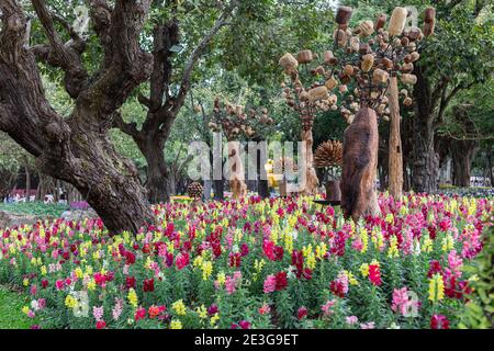 Snapdragon flowers in the garden at spring day. Antirrhinum majus. Stock Photo