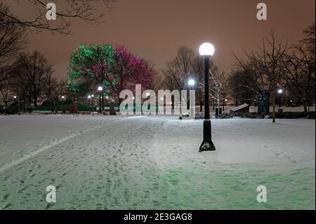 Christmas lights in city park Stock Photo