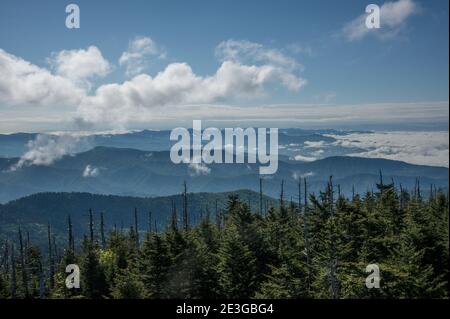 Smoky Mountains Layers of blue during the day Stock Photo