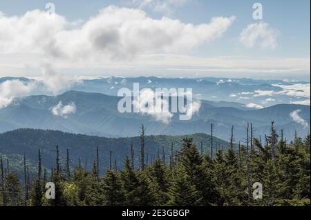 Smoky Mountains Layers of blue during the day Stock Photo