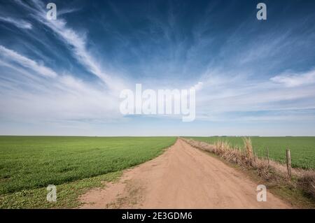 Wide angle of a green field in the Pampas Stock Photo