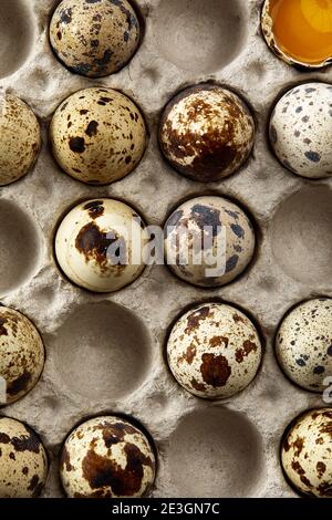 Quail eggs in the cardboard packing on the black table Stock Photo