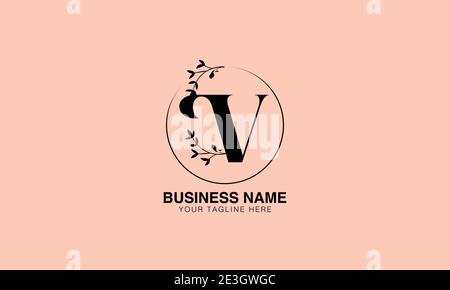 Floral V VV initial logo | initial based modern monogram logo, vector template image. luxury logotype logo, Feminine logo. typography logo Stock Vector
