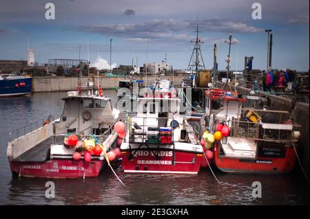 Fishing boats in the harbour at Seahouses, Northumberland Stock Photo