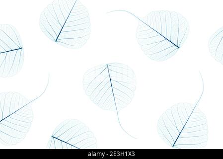 A repeating pattern of dried leaf skeletons. Stock Photo