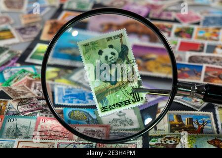 Stamp collection, collect, postage stamps, postage stamps from different countries, magnifying glass, stamp with panda bear from North Korea, Stock Photo