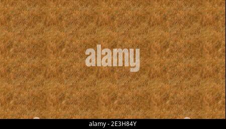 Steppe field nature background, natural texture pattern illustration. Stock Photo