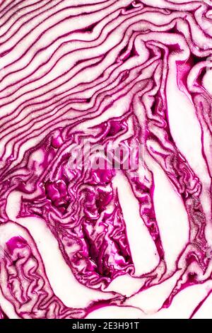 Close up of raw red cabbage texture when halved. Stock Photo