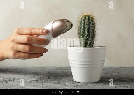 Female hand holding epilator and vase with cactus on gray table Stock Photo