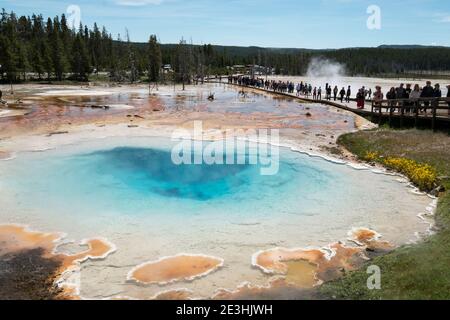 Silex Hot Spring, Yellowstone National Park, Wyoming USA. Stock Photo