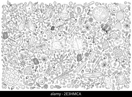 Doodle Science vector illustration . Biology and Biotechnology set. Hand Sketches on the theme of Zoology, Botany, Anatomy on white background. Stock Vector