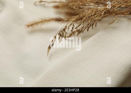 White beanie and field plants, close up and space for text Stock Photo