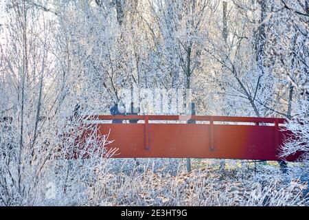 People on a red wooden bridge surrounded by white trees, covered with snow and ice. A film scene in winter. Posing in the snow. Horizontal view Stock Photo
