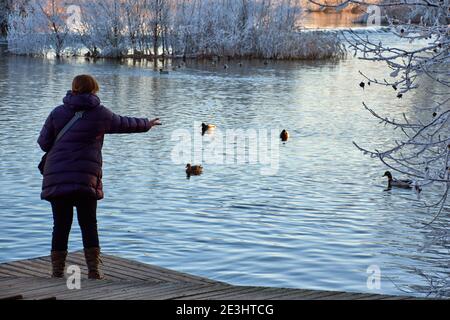 Woman on a wooden jetty by the river, feeding the ducks in winter. Frozen trees covered with ice and snow Stock Photo