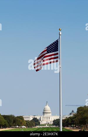 American flags flying in front of the United States Capitol in Washington DC, USA. The flags are on the National Mall. Stock Photo