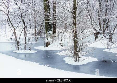 Fresh snow covered trees in forest with frozen flooded water in winter Stock Photo