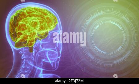 rontgen human head image with highlighted brain and empty space on the right for your image - modern medical 3D illustration Stock Photo