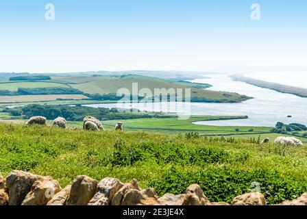 View from Abbotsbury Gardens over the Chesil Beach. Stock Photo