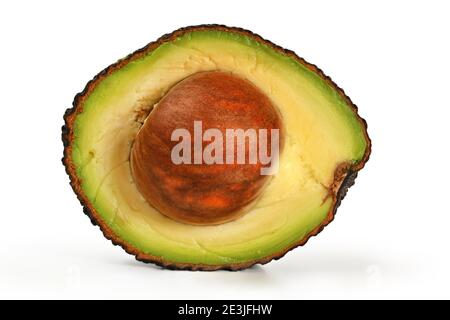 Avocado (hass or bilse variety) cut in half, seed still inside, closeup detail isolated on white background Stock Photo
