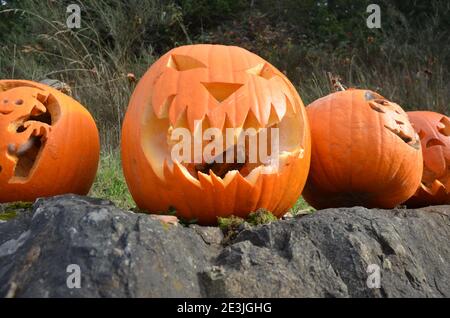 Rotting Jack-O-Lanterns with Scary carvings.  Picture taken outdoors from front. Stock Photo