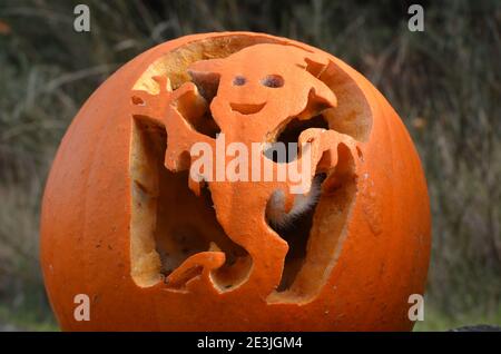 Rotting single Jack O Lantern with Carved Smiling Witch or Ghost Stock Photo