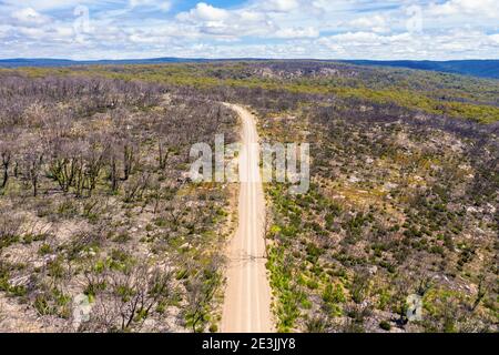 Aerial view of a dirt road in a forest regenerating from bushfire in Kanangra-Boyd National Park in the Central Tablelands in regional New South Wales Stock Photo