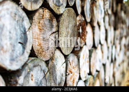 Wooden logs in a pile with bokeh. The firewood is stacked. Sawn tree trunk. Cut the cross-section texture of a tree slice. Stock Photo