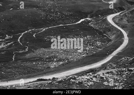 Alpine view of sheep herd grazing and people hiking. Summer in Savoie, France. Black and white photo. Stock Photo