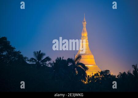 Distant view of gilded golden Shwedagon Pagoda rising above palm trees at night, Yangon, Yangon Region, Myanmar Stock Photo