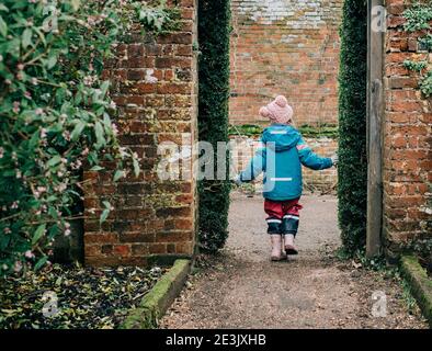 A rose bush tunnel in the garden Chateau Kirwan, Cantenac Margaux Medoc  Bordeaux Gironde Aquitaine France Stock Photo - Alamy