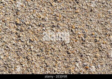 Fine gravel and sea shells on the sand Stock Photo