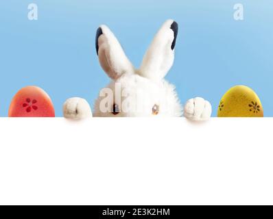 An Easter white bunny toy are two Easter color eggs on blue and white background. Stock Photo