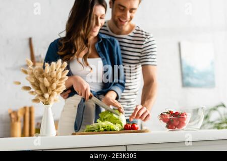 catkins near joyful couple preparing salad in kitchen on blurred background Stock Photo