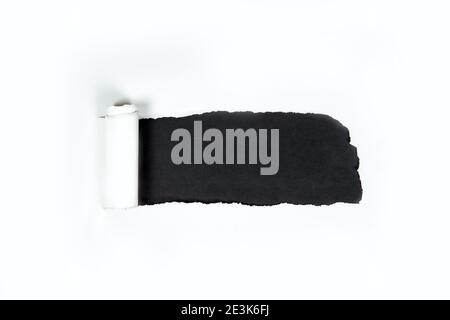 White abstract blank ripped torn paper poster with black background texture, copy space and space for text Stock Photo