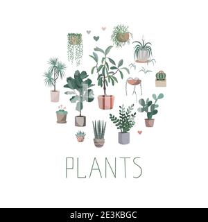 House plants arranged in circle, vector hand drawn illustration Cute homeplant pots, cactuses and succulents. Isolated cartoon item in Scandinavian Stock Vector