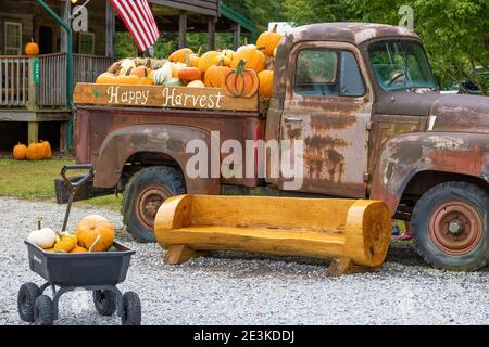 Johnson City, Tennessee, USA - September 26, 2020:  Laurels Pumpkin Barn open free to the public for purchase of seasonal pumpkins, display pumpkins i Stock Photo