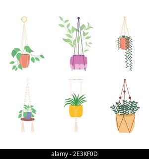 decorative hanger plants icon set over white background, colorful design, vector illustration Stock Vector