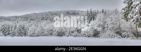 Winter in the black forest, meadows and fields are covered with snow. Silence lies over the landscape. The hunting pulpit stands untouched between the Stock Photo