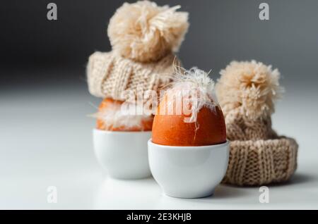 Fresh free range eggs with natural feathers in egg cups, eggs in woolen caps, funny food Stock Photo