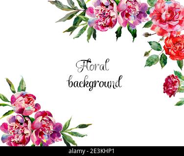 Roses and peony watercolor floral background with place for text, ivvitation, greeting card template with blossom flowers, buds and leaves Stock Photo