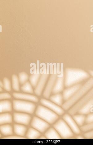Abstract geometric shadows on yellow natural material wall Stock Photo