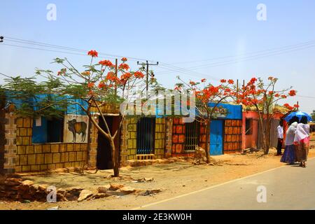 Delonix Regia trees with their orange flowers line the edge of the road with brightly painted shops behind, beneath a pale blue sky on the road to Aks Stock Photo