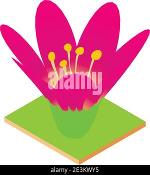 Lotus isometric 3d icon Stock Vector Image & Art - Alamy