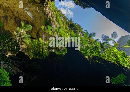 looking outside from standing inside the Deer Cave opening Stock Photo