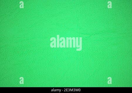 Fragment of genuine leather with folds, dyed acid green. Background, texture. Stock Photo