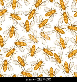 Seamless pattern of the honey bee insects Stock Vector