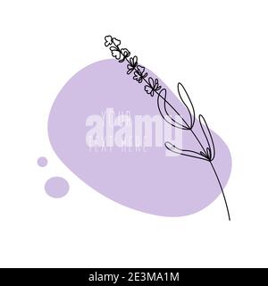 Minimal art leaf on abstract shapes backgroud.  Stock Vector