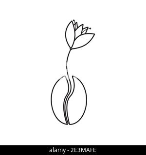Coffee bean with flower vector outline minimalistic illustration for logo on white background Stock Vector